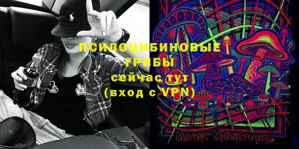 a pvp Магас