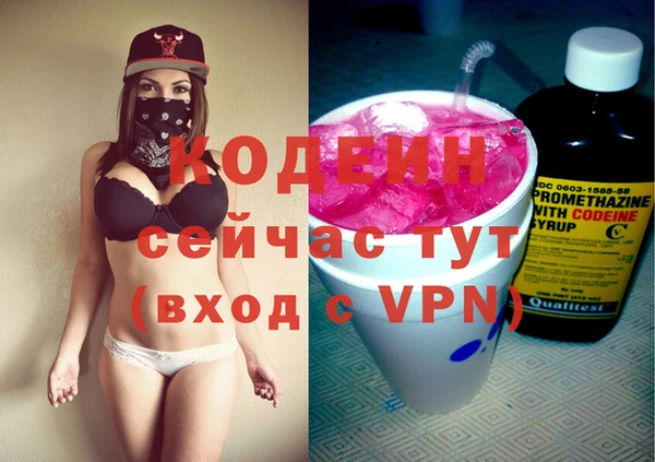 spice Богородицк