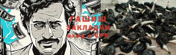 mix Белокуриха