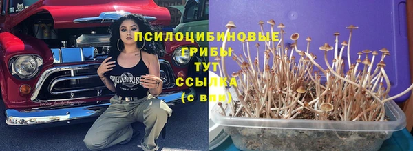 кокаин премиум Бородино