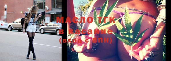 spice Богородицк