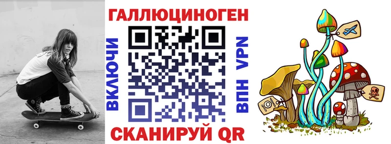 Псилоцибиновые грибы Magic Shrooms  Бежецк 